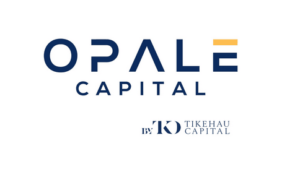 Stratégies growth buyout