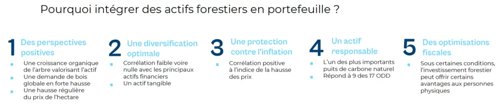 5 raisons détention actifs forestiers portefeuille