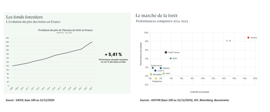 évolution du marché de la forêt